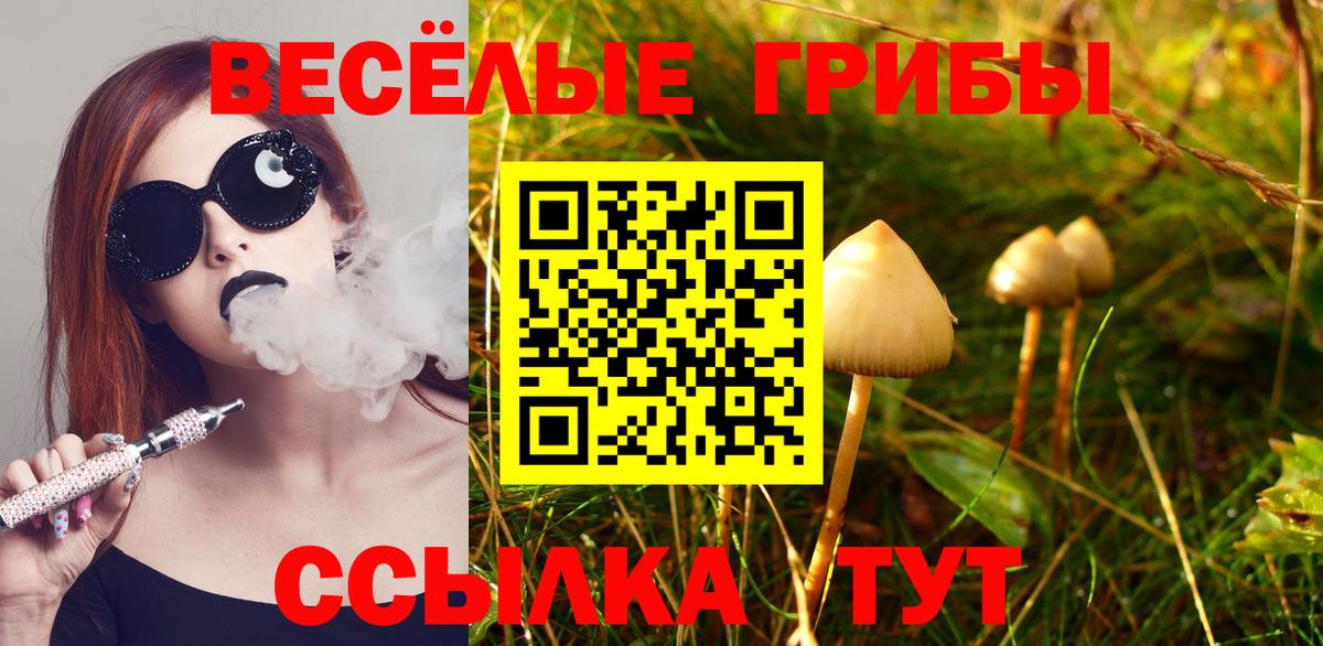 Петровск  Псилоцибиновые грибы Psilocybine cubensis  хочу   Вход с VPN 